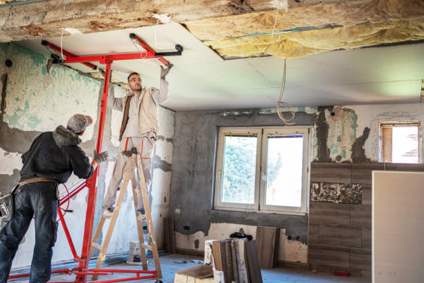 Best Insulation Removal  in Millville, NJ